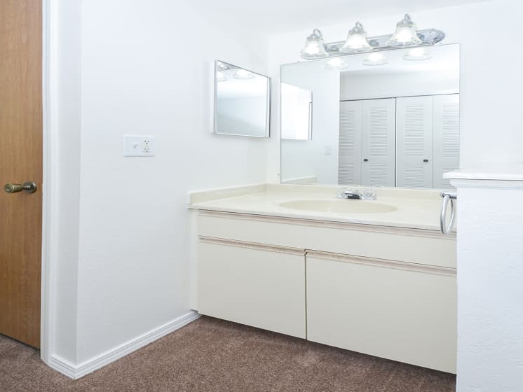Large Bathroom Sink